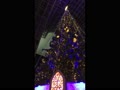 京都駅のクリスマスツリー2018年 2